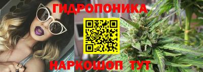 крисы Пугачёв