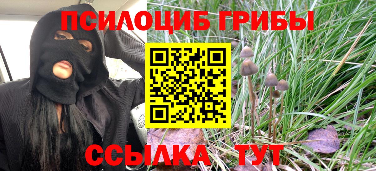 Псилоцибиновые грибы ЛСД  Вход с VPN  Подольск 