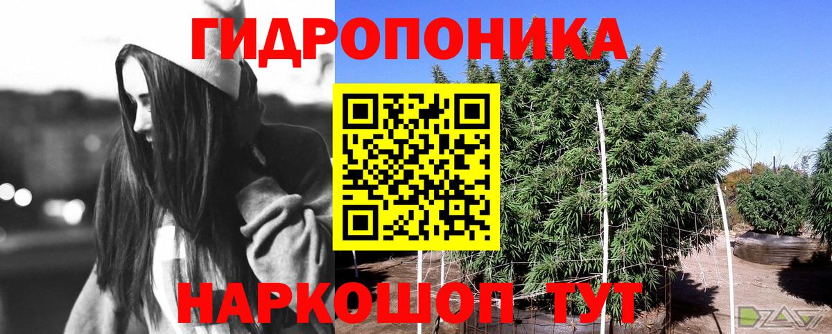 Шишки марихуана планчик  Конопля AK-47  Шишки марихуана LSD WEED  Вход с VPN  Канабис LSD WEED  Подольск 